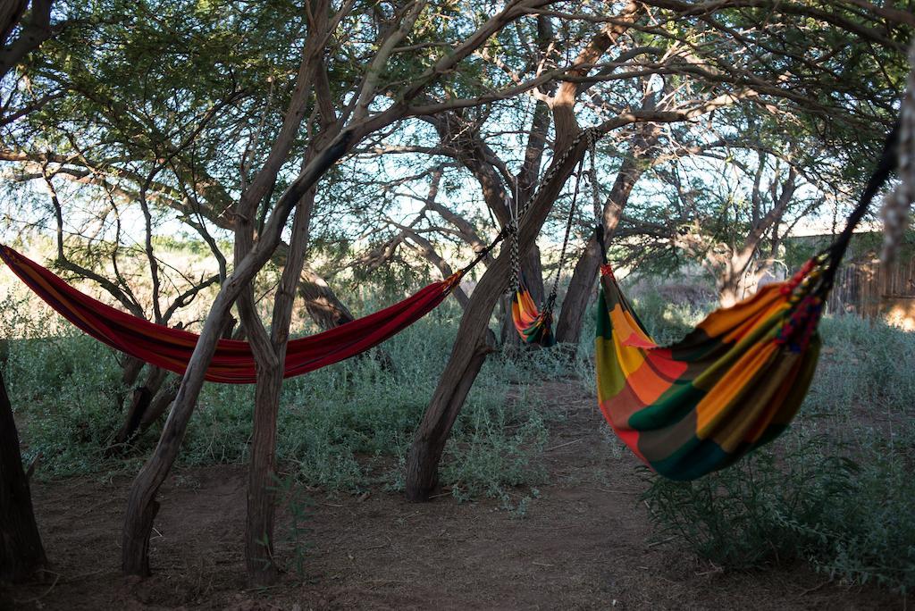 Planeta Atacama Lodge San Pedro de Atacama Dış mekan fotoğraf